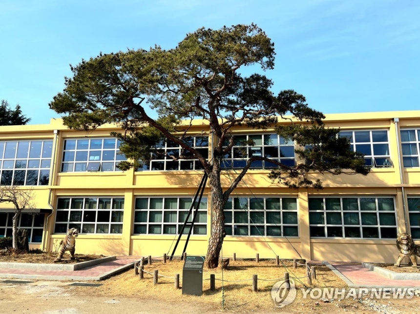 '진주 K-기업가정신' 대한민국 청년 창업 성장 동력…포럼 성황 썸네일 사진